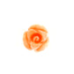 Coral Blossom Pendant 0187894