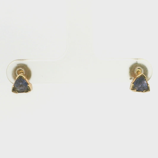Night Sky Earrings 0830096